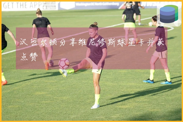 汉密尔顿分享维尼修斯球星卡并获点赞