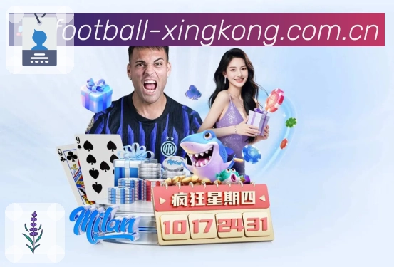 稳定与安全协同流程